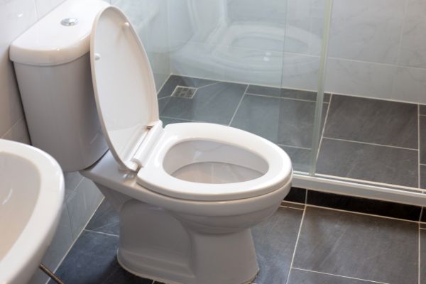 Toilet Replacement in Green Valley