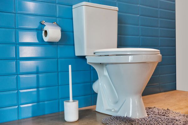 Toilet Tank Repair in Green Valley